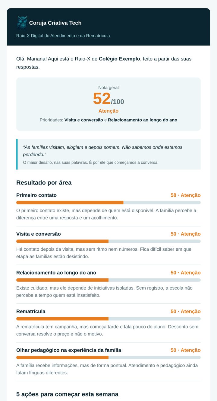 Exemplo de relatório do Raio-X Digital, com nota geral e notas por área